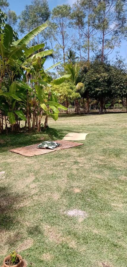 Cantinho Da Paz Ilhéus Esterno foto